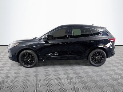 2024 Ford Escape ST-Line Elite