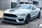 2021 Ford Mustang Mach 1