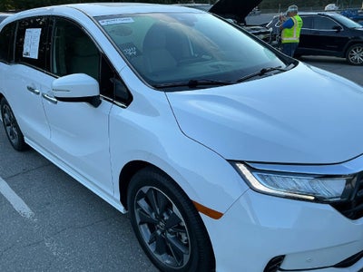2024 Honda Odyssey Elite
