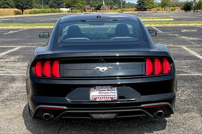 2019 Ford Mustang EcoBoost