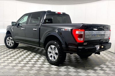 2023 Ford F-150 Platinum