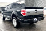 2014 Ford F-150 Platinum