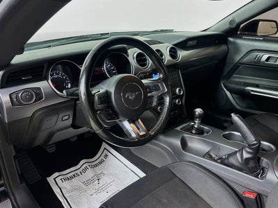 2019 Ford Mustang GT