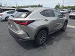 2023 Lexus NX 250 Base
