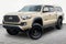 2019 Toyota Tacoma TRD Off-Road V6